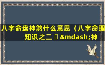 八字命盘神煞什么意思（八字命理知识之二 ☘ —神煞篇）